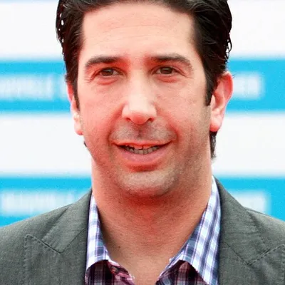 David Schwimmer