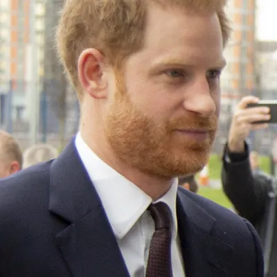 Prince Harry, Duke of Sussex