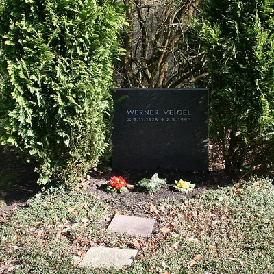 Werner Veigel